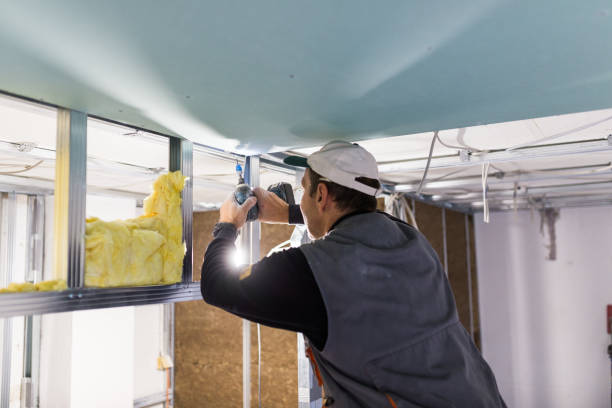 Best DIY Insulation Kits and Guidance in Galesville, MD