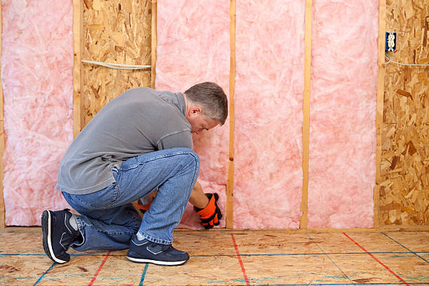 Best Cellulose Insulation in Galesville, MD